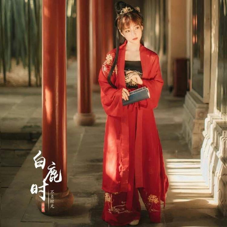 上海志強(qiáng)網(wǎng)絡(luò)推廣:域名變更的SEO處理注意事項(xiàng);漢服定制,漢服推廣