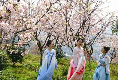 穿漢服，賞櫻花