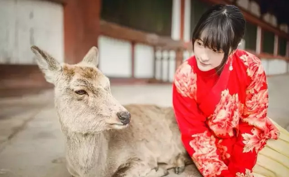 徐嬌身穿紅色漢服和鹿合影