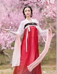 漢服披帛