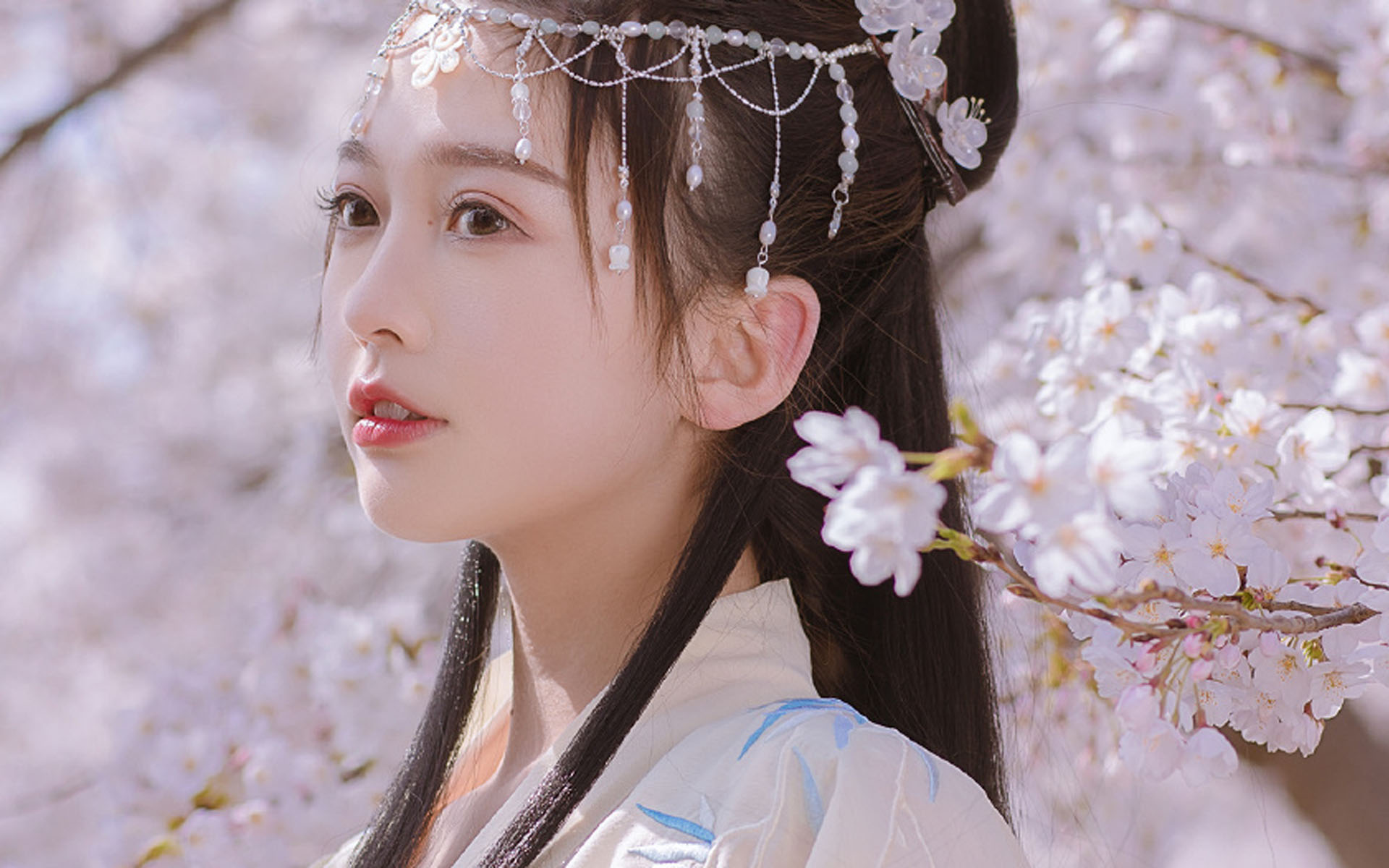 古風(fēng)美女仙氣唯美寫(xiě)真桌面壁紙
