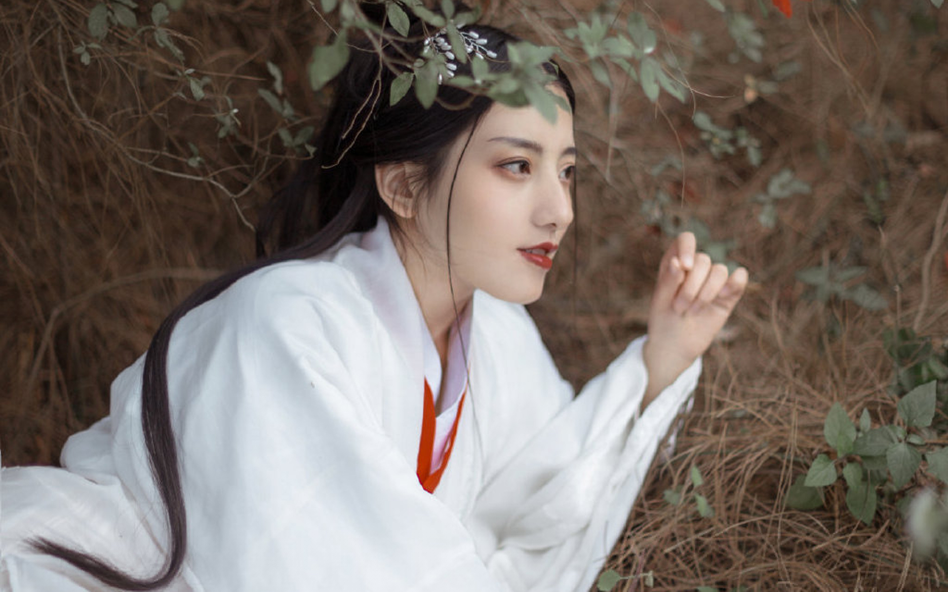古風(fēng)美女美艷迷人寫真桌面壁紙
