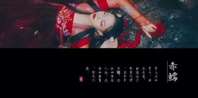 赤鱬——其狀如魚而人面，其音如鴛鴦，食之不疥。