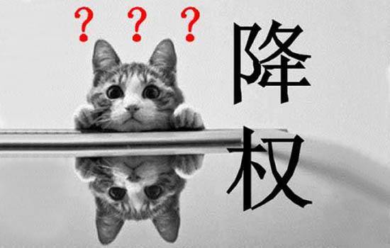 新手站長3個新網站優化40天被K經歷
