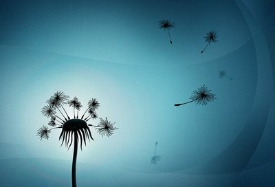 搞笑說說加圖片4
