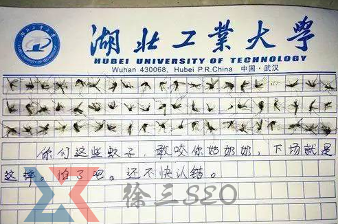 60只蚊子寫作文