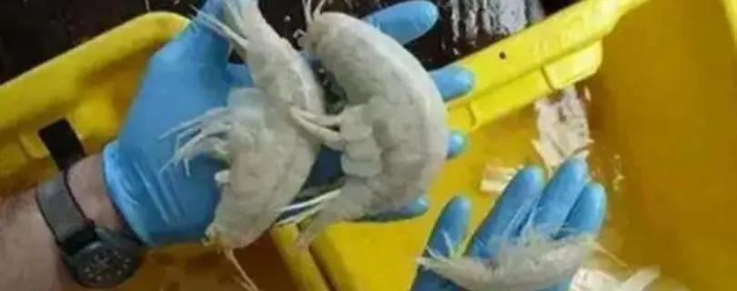 在58同城或趕集網(wǎng)上找工作靠譜嗎？